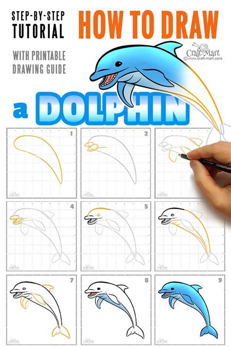 DOLPHIN TUTORIAL – EASY SETUP GUIDE FOR .
